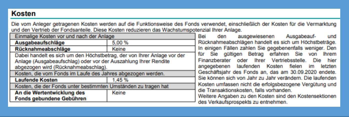 Fonds, wesentliche Anlegerinformationen